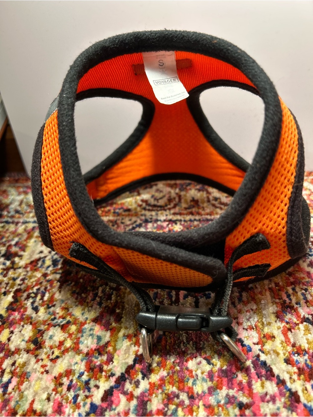 Small dog accessories - Picture 3 of 10